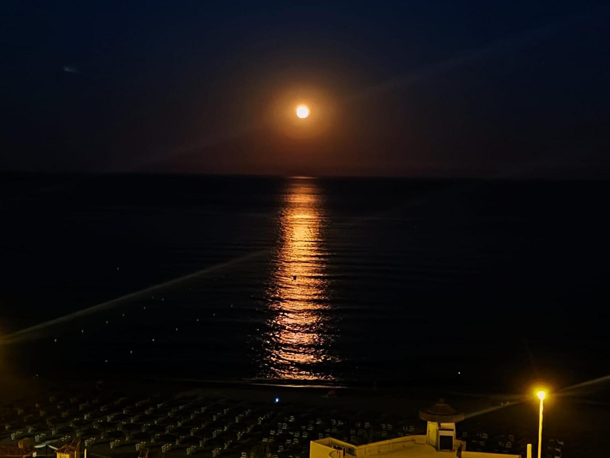 Carvajal Beach Seaview Apartment Benalmádena Exteriör bild